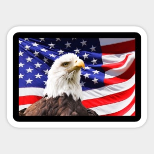 american flag Sticker